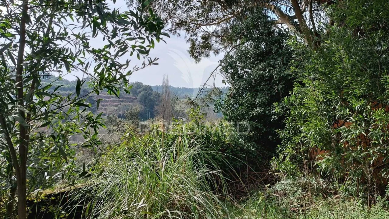 Terreno para Venda em Foz do Sousa e Covelo Foto 10