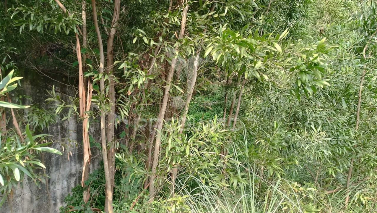 Terreno para Venda em Foz do Sousa e Covelo Foto 5