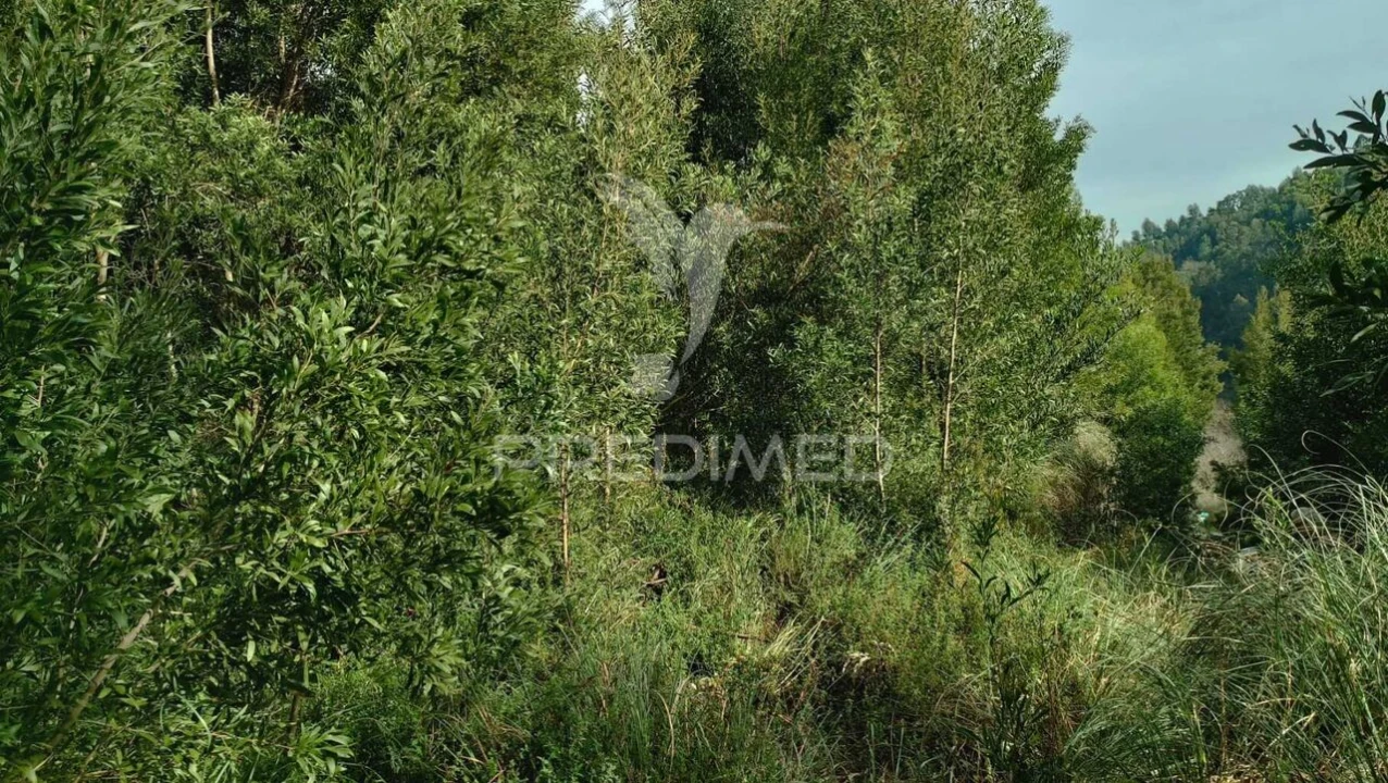 Terreno para Venda em Foz do Sousa e Covelo Foto 7