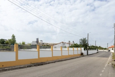 Terreno para Venda em São João das Lampas e Terrugem