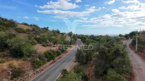 Terreno para Venda em Conceição e Estoi