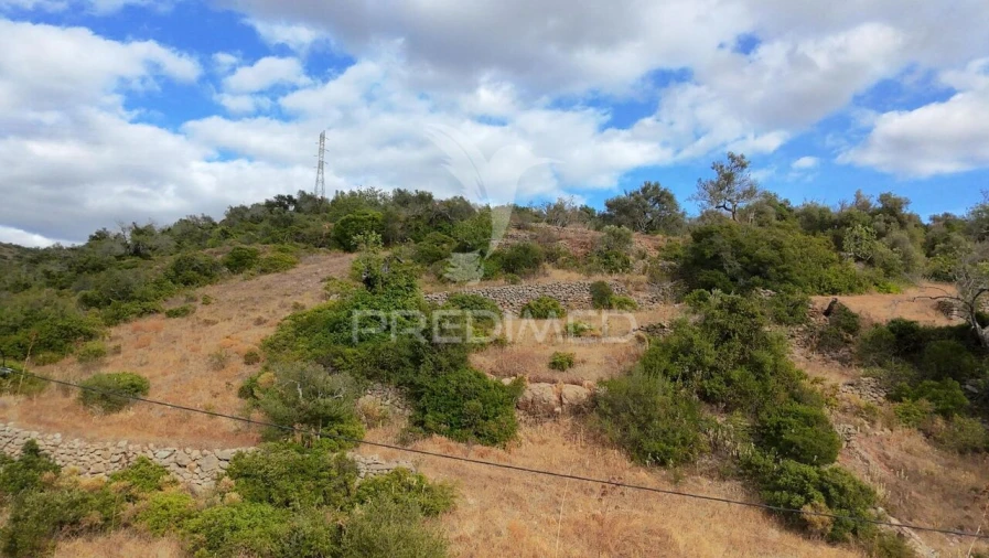 Terreno para Venda em Conceição e Estoi Foto 4