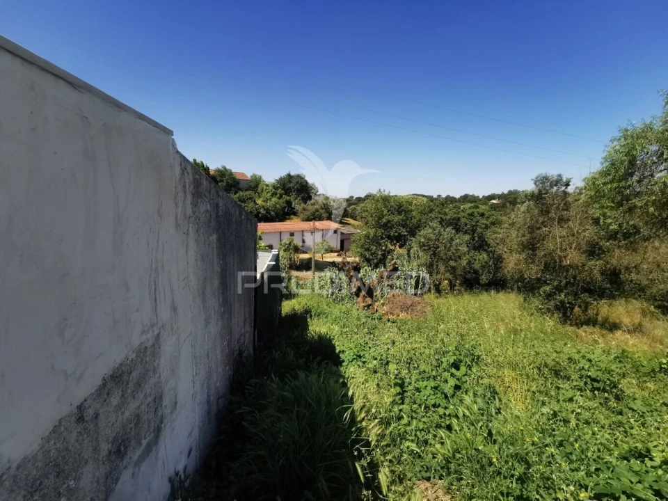 Terreno para Venda em Torres Novas (Santa Maria, Salvador e Santiago) Foto 3