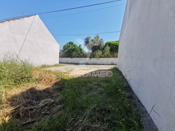 Terreno para Venda em Torres Novas (Santa Maria, Salvador e Santiago) Foto 9
