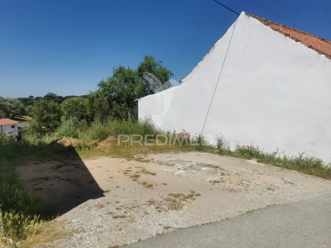 Terreno para Venda em Torres Novas (Santa Maria, Salvador e Santiago) Foto 6