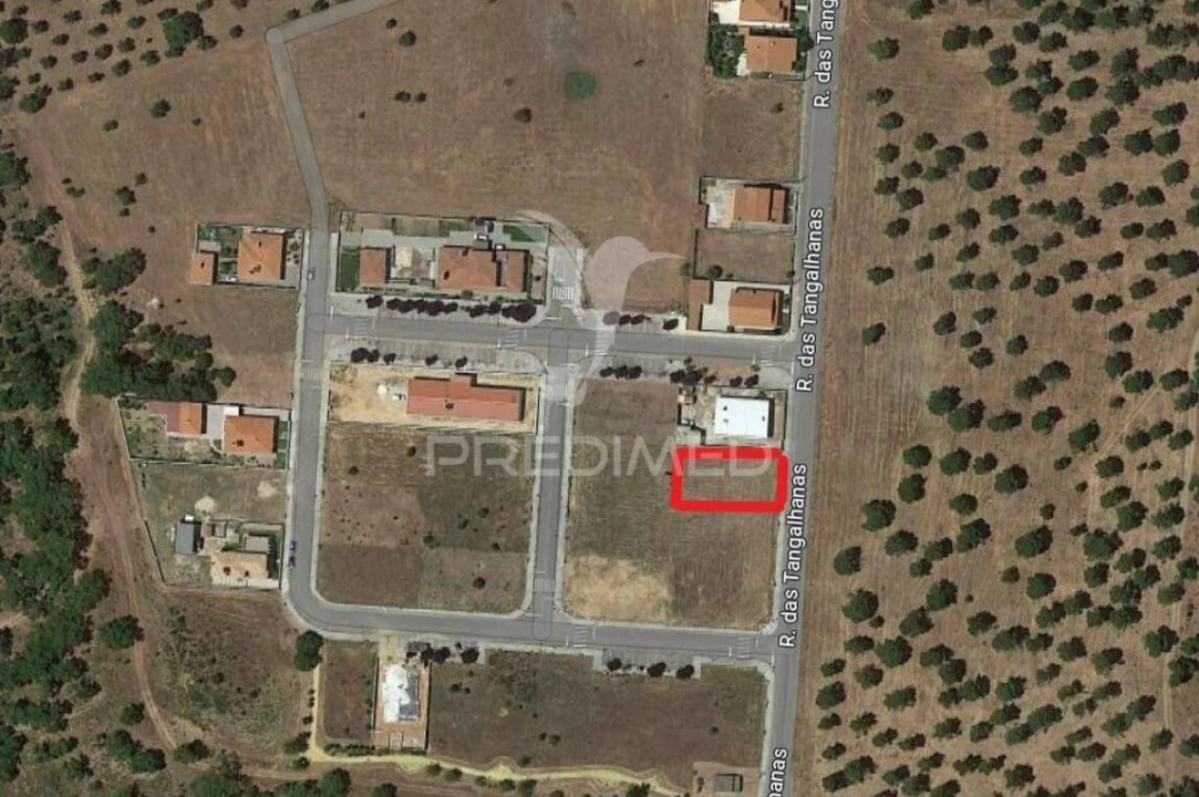 Terreno para Venda em São Miguel do Rio Torto e Rossio Ao Sul do Tejo Foto 6