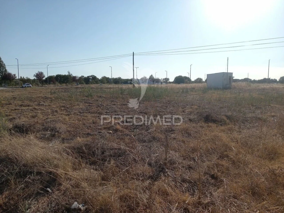 Terreno para Venda em São Miguel do Rio Torto e Rossio Ao Sul do Tejo Foto 5