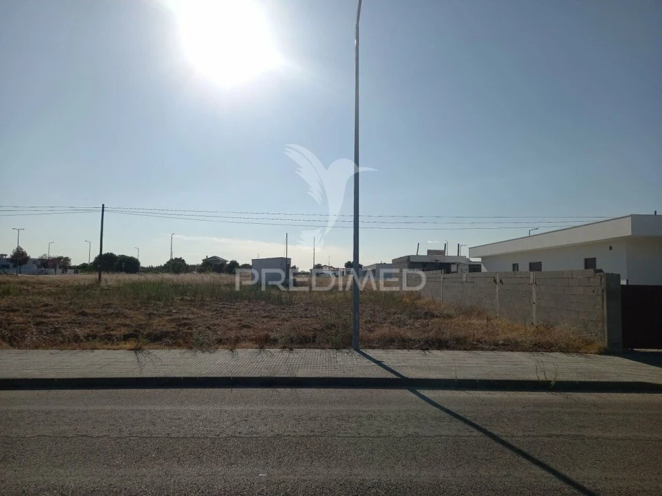 Terreno para Venda em São Miguel do Rio Torto e Rossio Ao Sul do Tejo Foto 3