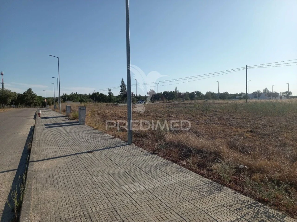 Terreno para Venda em São Miguel do Rio Torto e Rossio Ao Sul do Tejo Foto 2