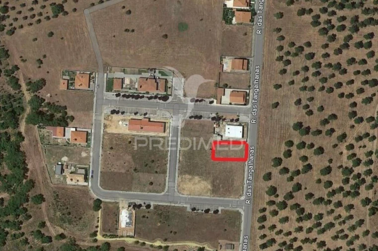 Terreno para Venda em São Miguel do Rio Torto e Rossio Ao Sul do Tejo Foto 6