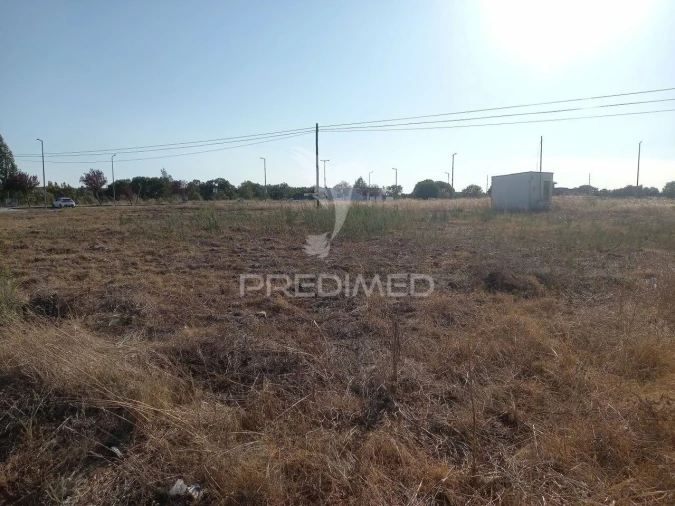 Terreno para Venda em São Miguel do Rio Torto e Rossio Ao Sul do Tejo Foto 5