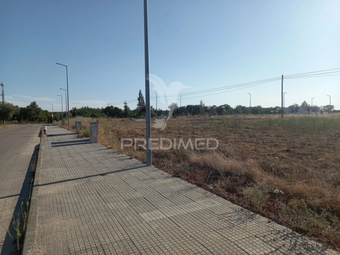 Terreno para Venda em São Miguel do Rio Torto e Rossio Ao Sul do Tejo Foto 2