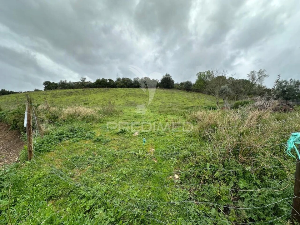 Terreno para Venda em Achete, Azoia de Baixo e Póvoa de Santarém Foto 4