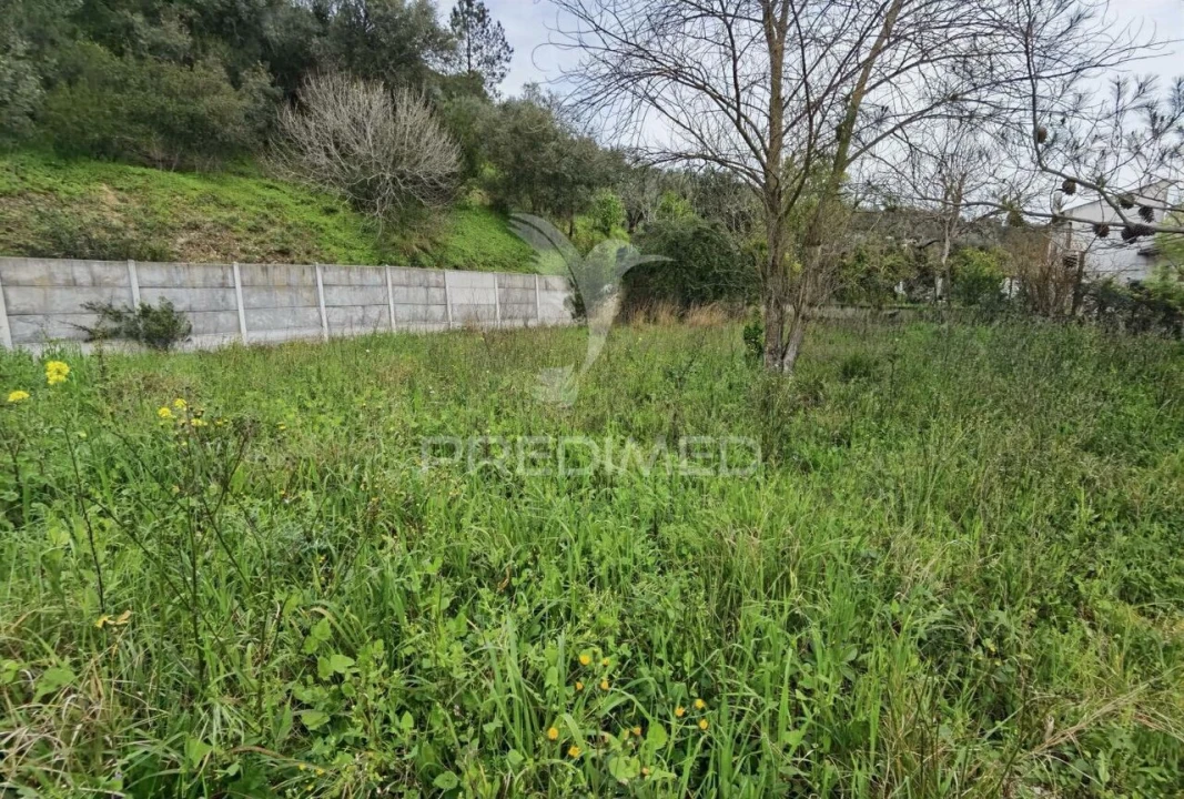 Terreno para Venda em Torres Novas (Santa Maria, Salvador e Santiago) Foto 9
