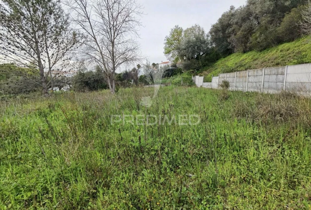 Terreno para Venda em Torres Novas (Santa Maria, Salvador e Santiago) Foto 15