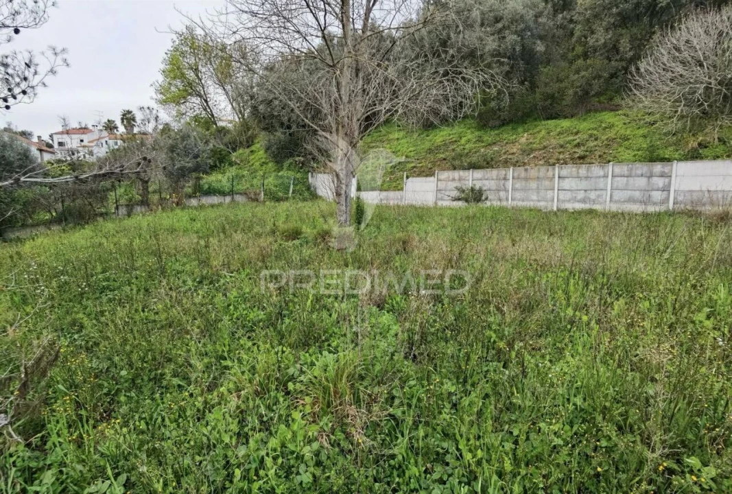 Terreno para Venda em Torres Novas (Santa Maria, Salvador e Santiago) Foto 12