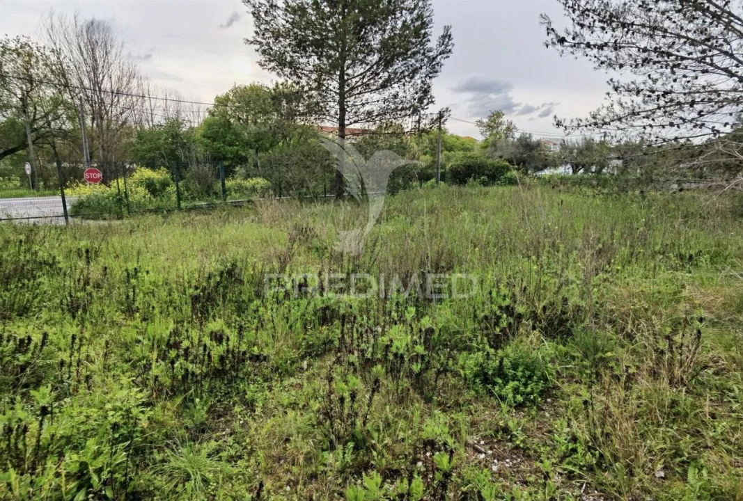 Terreno para Venda em Torres Novas (Santa Maria, Salvador e Santiago) Foto 6