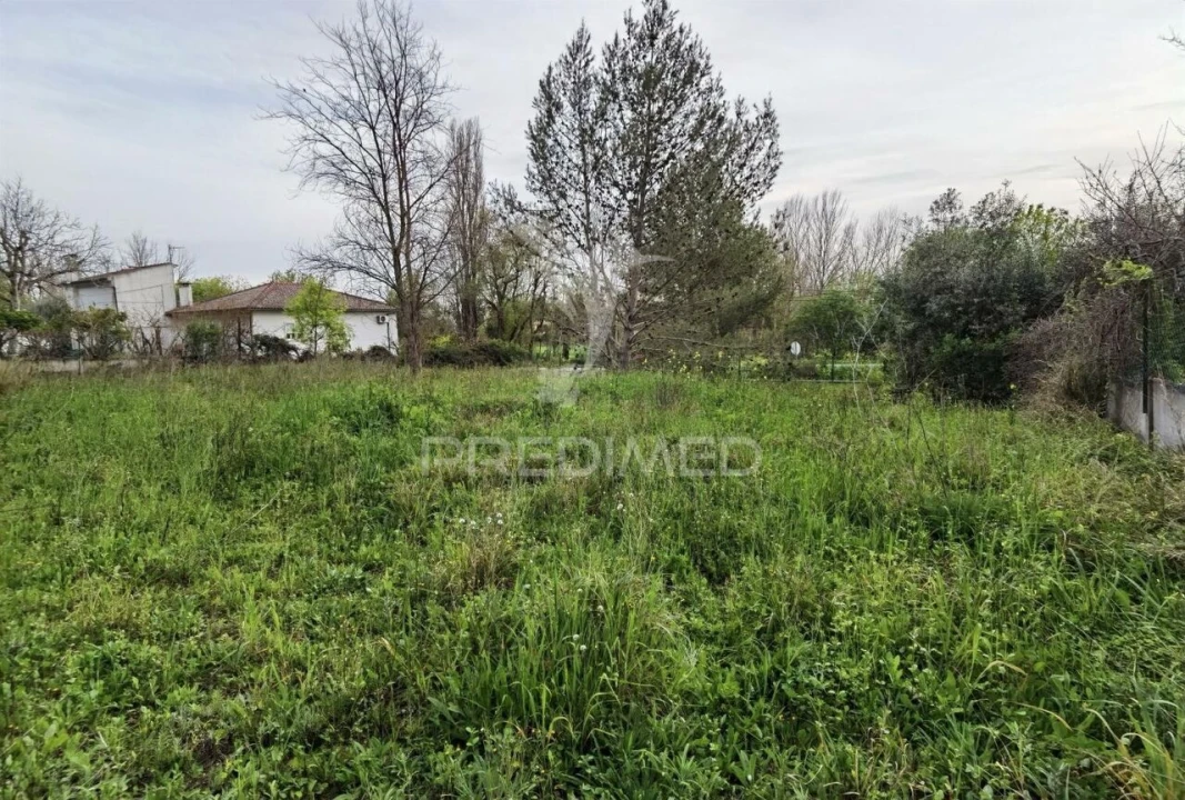 Terreno para Venda em Torres Novas (Santa Maria, Salvador e Santiago) Foto 17