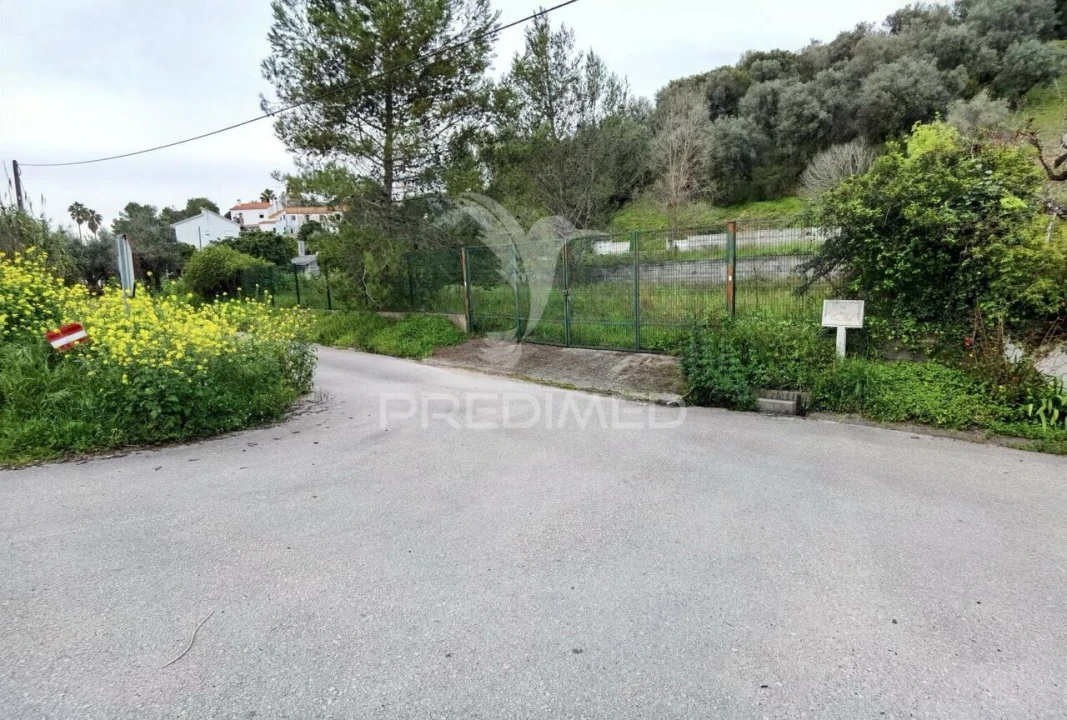 Terreno para Venda em Torres Novas (Santa Maria, Salvador e Santiago) Foto 1