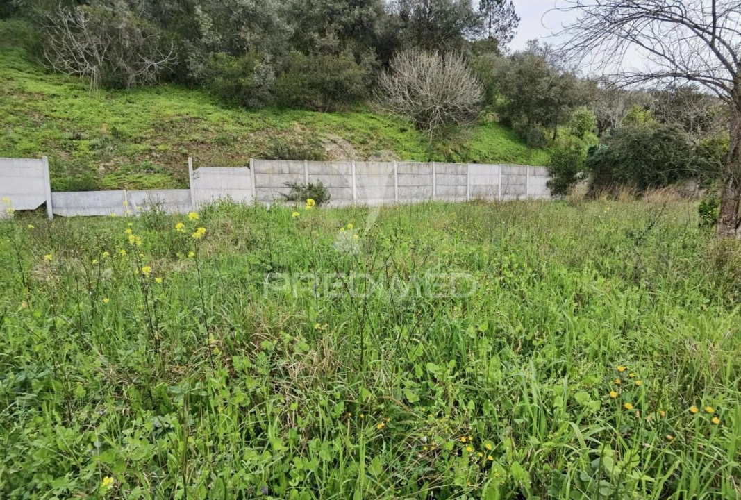 Terreno para Venda em Torres Novas (Santa Maria, Salvador e Santiago) Foto 10