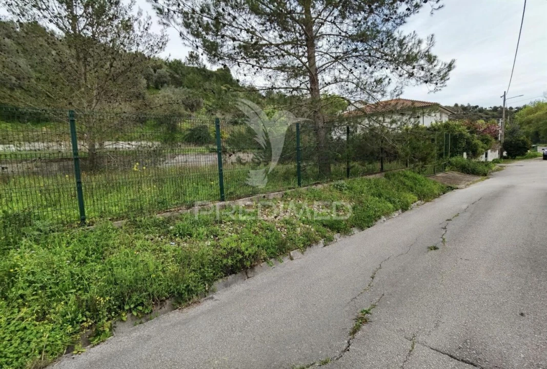 Terreno para Venda em Torres Novas (Santa Maria, Salvador e Santiago) Foto 4