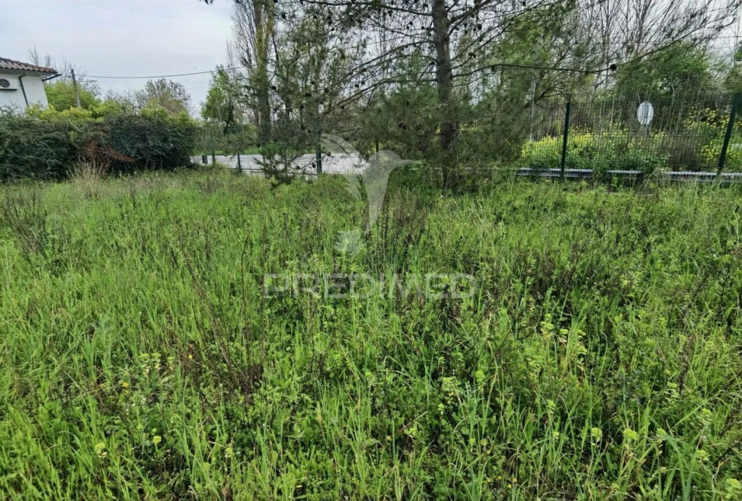 Terreno para Venda em Torres Novas (Santa Maria, Salvador e Santiago) Foto 8