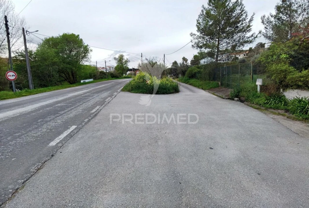 Terreno para Venda em Torres Novas (Santa Maria, Salvador e Santiago) Foto 3