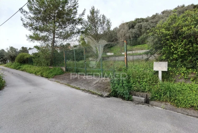 Terreno para Venda em Torres Novas (Santa Maria, Salvador e Santiago) Foto 2