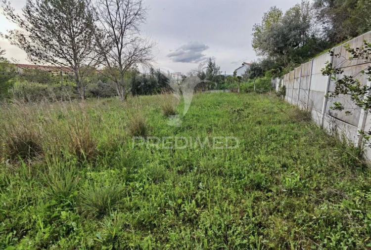 Terreno para Venda em Torres Novas (Santa Maria, Salvador e Santiago) Foto 16