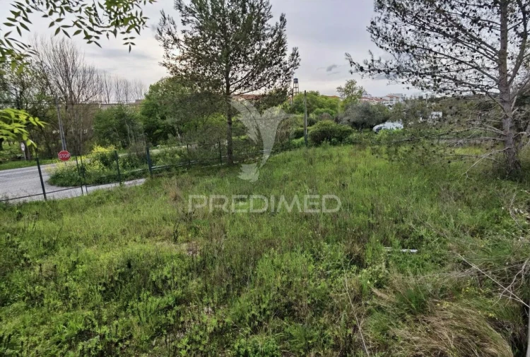 Terreno para Venda em Torres Novas (Santa Maria, Salvador e Santiago) Foto 13