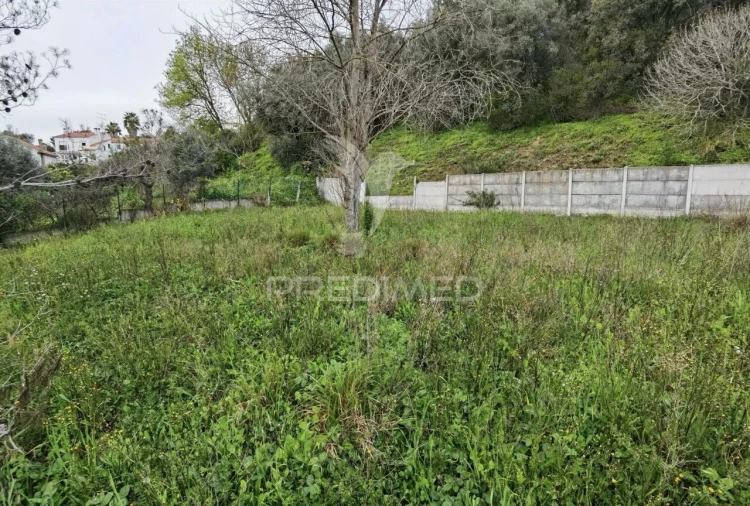 Terreno para Venda em Torres Novas (Santa Maria, Salvador e Santiago) Foto 12