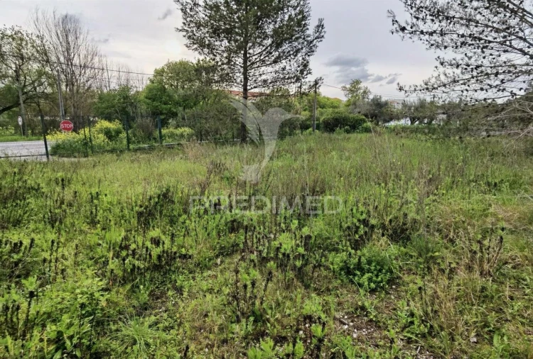 Terreno para Venda em Torres Novas (Santa Maria, Salvador e Santiago) Foto 6