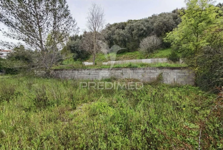Terreno para Venda em Torres Novas (Santa Maria, Salvador e Santiago) Foto 5