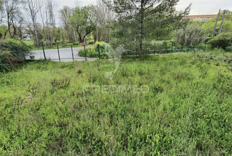 Terreno para Venda em Torres Novas (Santa Maria, Salvador e Santiago) Foto 11