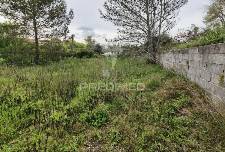 Terreno para Venda em Torres Novas (Santa Maria, Salvador e Santiago) Foto 7
