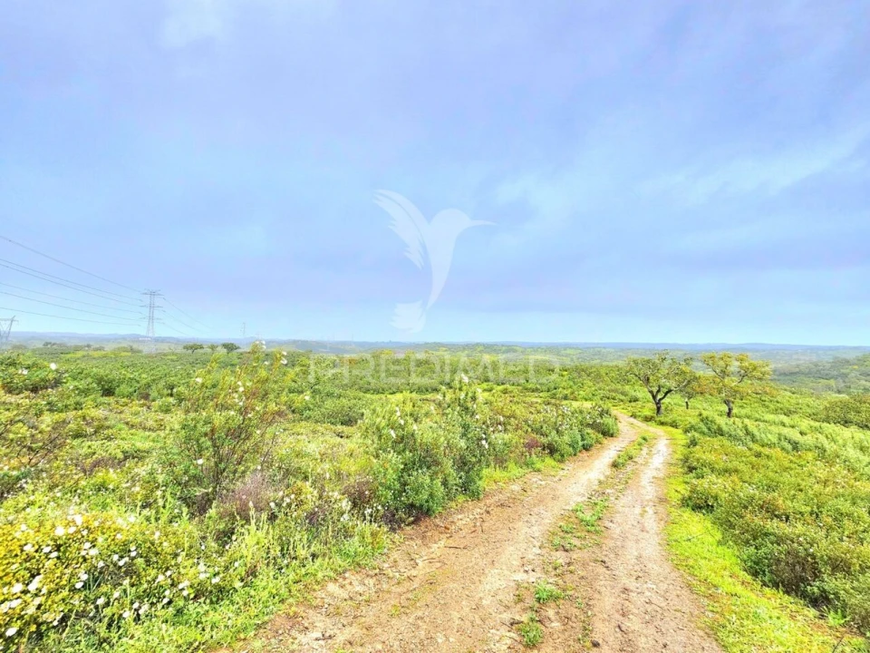 Terreno para Venda em Santa Clara-A-Nova e Gomes Aires Foto 8