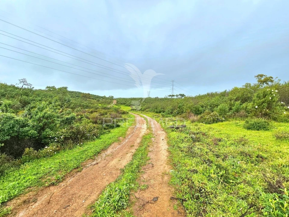 Terreno para Venda em Santa Clara-A-Nova e Gomes Aires Foto 12