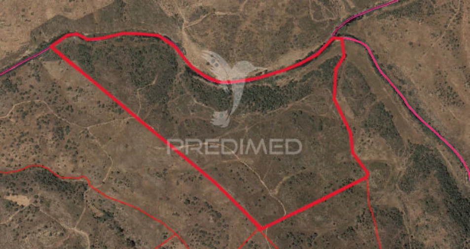 Terreno para Venda em Santa Clara-A-Nova e Gomes Aires Foto 2