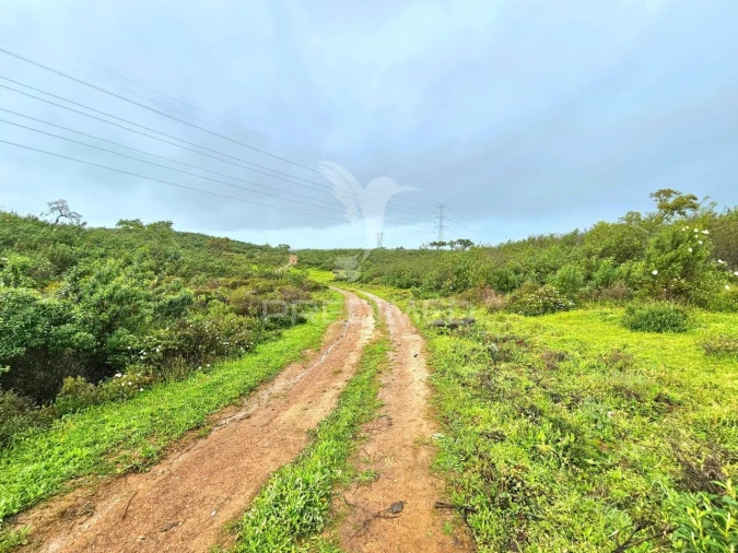 Terreno para Venda em Santa Clara-A-Nova e Gomes Aires Foto 12