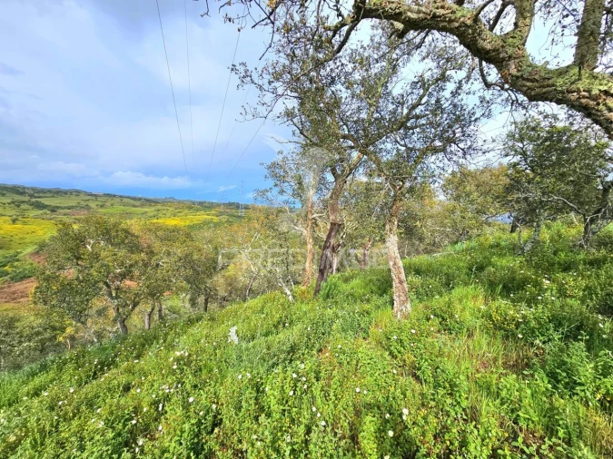 Terreno para Venda em Santa Clara-A-Nova e Gomes Aires Foto 4