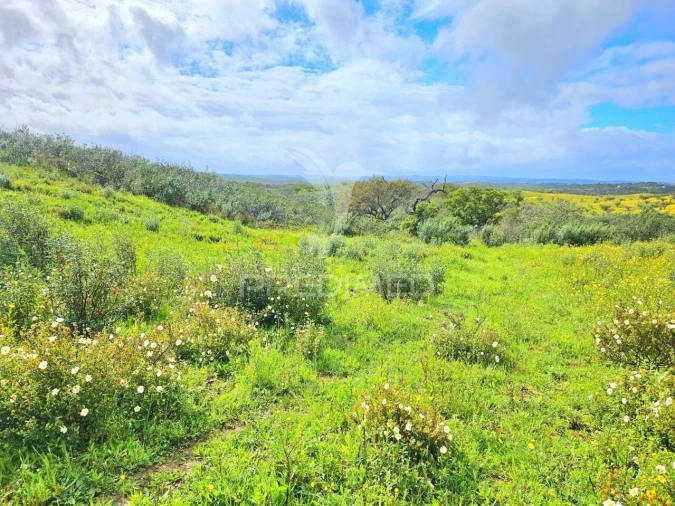 Terreno para Venda em Santa Clara-A-Nova e Gomes Aires Foto 11