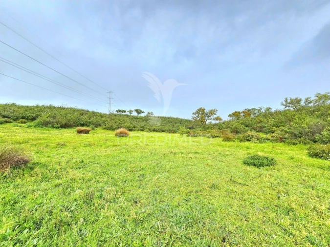 Terreno para Venda em Santa Clara-A-Nova e Gomes Aires Foto 10