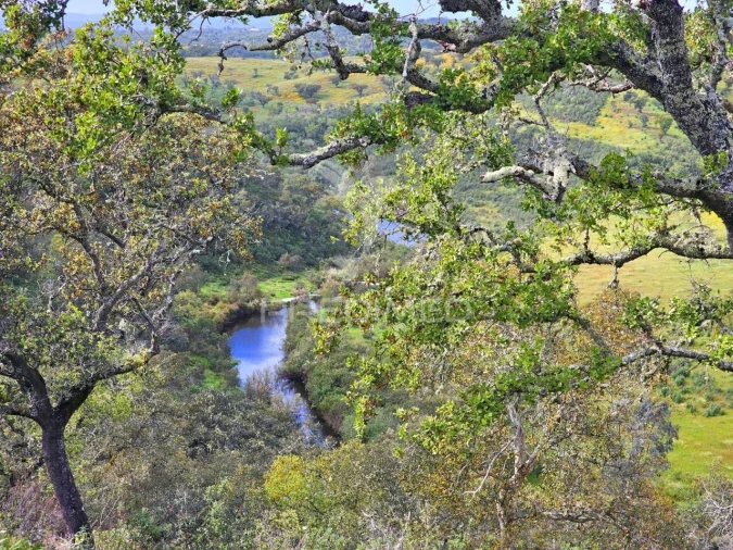 Terreno para Venda em Santa Clara-A-Nova e Gomes Aires Foto 5