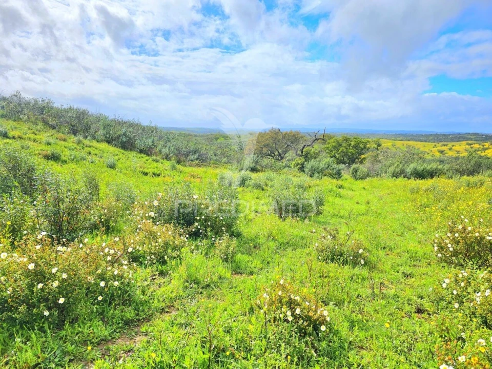 Terreno para Venda em Santa Clara-A-Nova e Gomes Aires Foto 11