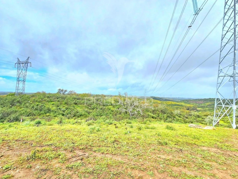 Terreno para Venda em Santa Clara-A-Nova e Gomes Aires Foto 13