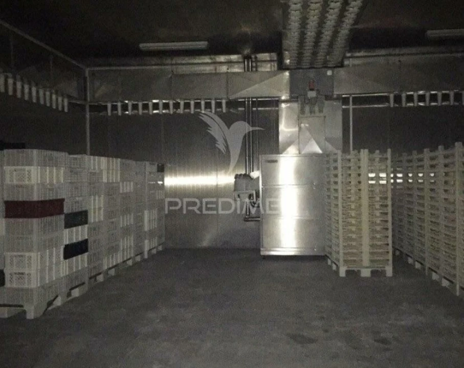 Armazém para Venda em Idanha-A-Nova e Alcafozes Foto 7