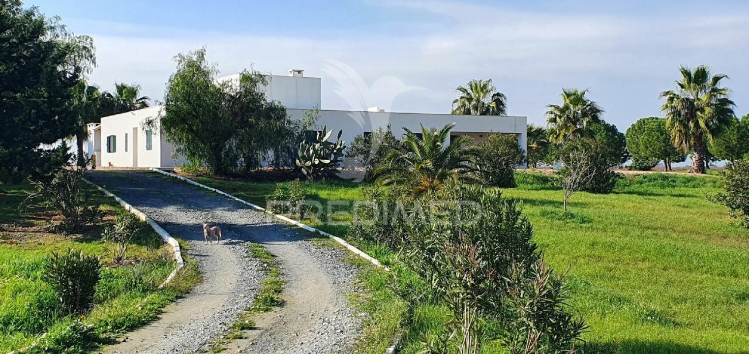 Quinta T7 para Venda em Ferreira do Alentejo e Canhestros Foto 5