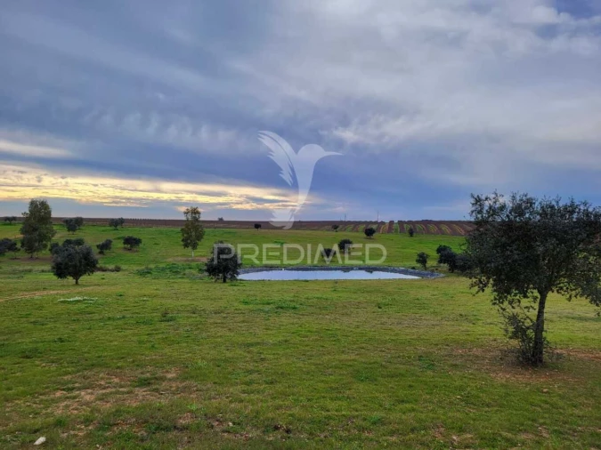 Quinta T7 para Venda em Ferreira do Alentejo e Canhestros Foto 28