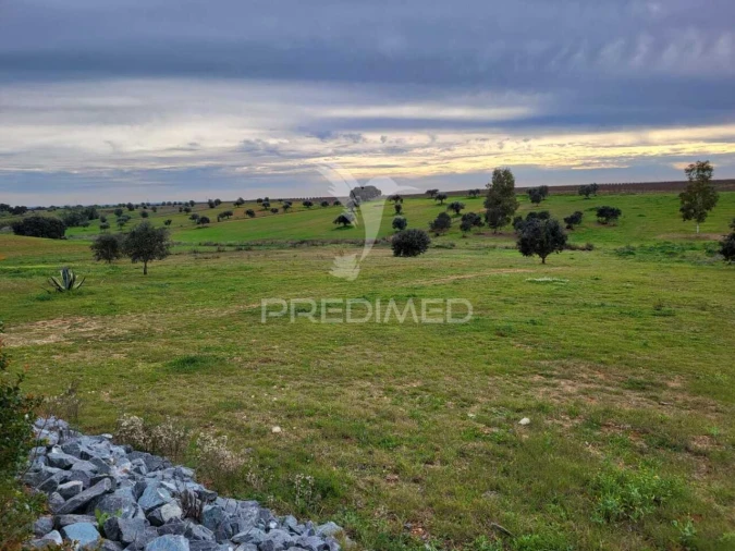 Quinta T7 para Venda em Ferreira do Alentejo e Canhestros Foto 27