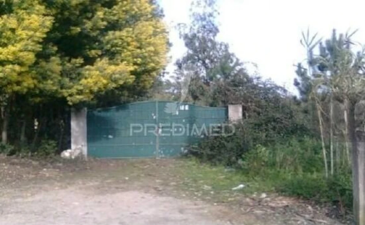 Terreno para Venda em Águeda e Borralha Foto 2
